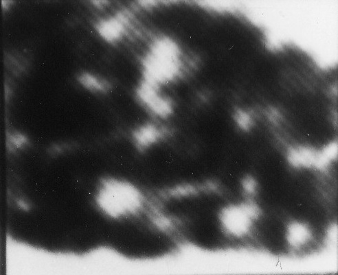 no 5