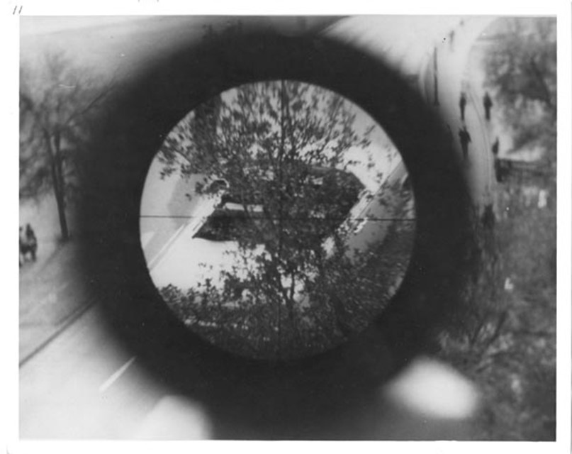 A View from Elm Street Showing a Tree Obstructing the Visual Field